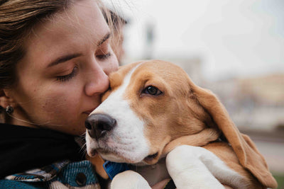 Cherish Your Pet Forever with Personalized Paw Print Jewelry