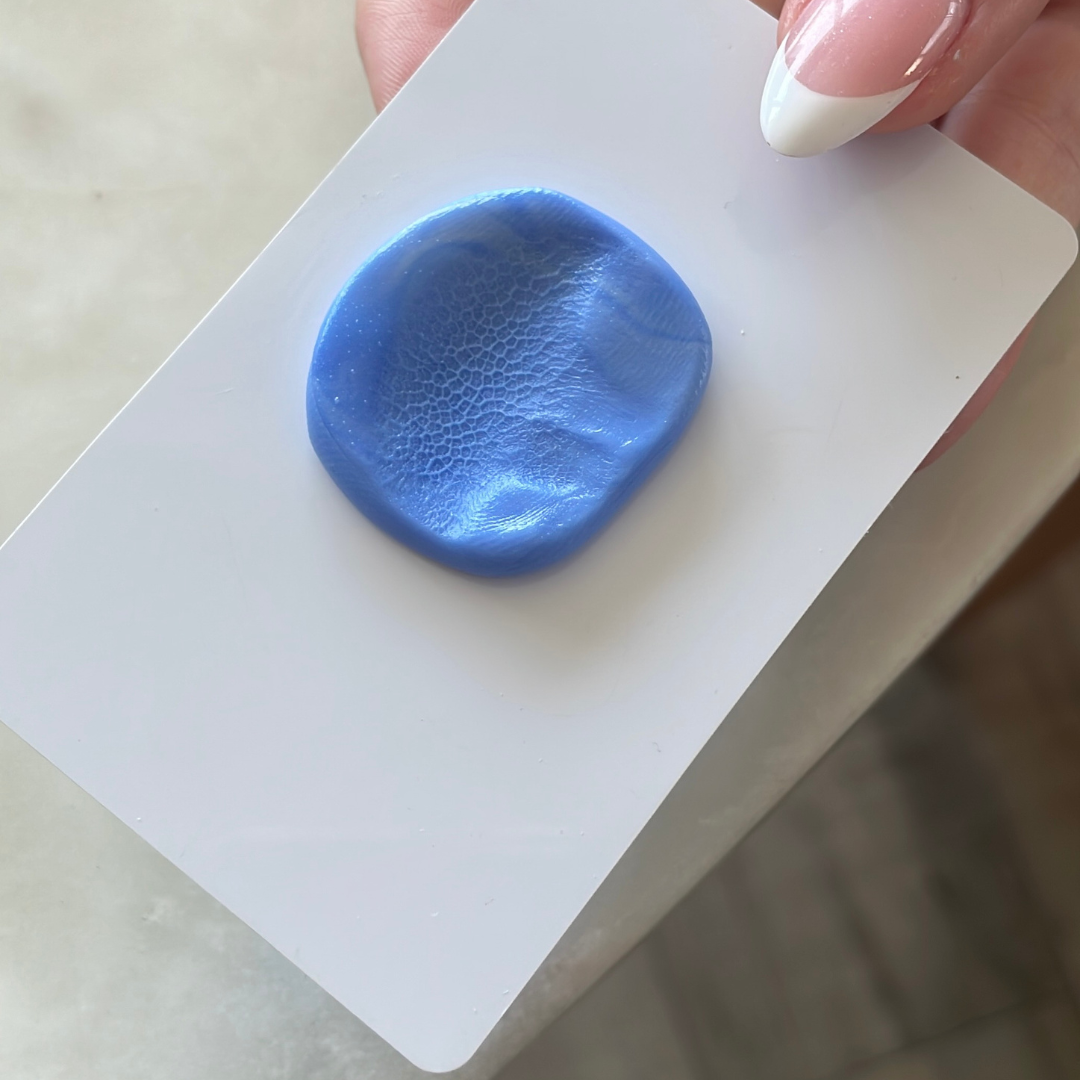 Pet Nose and Paw Pad Moulding Kit