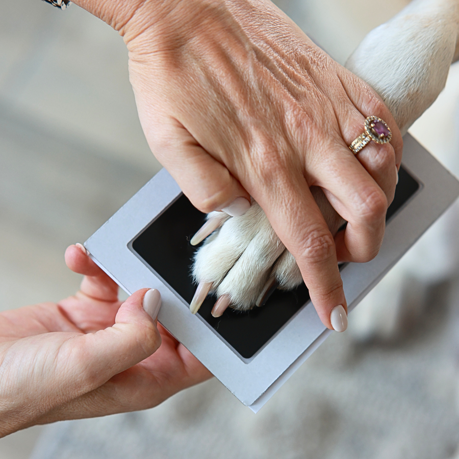 Fingerprint process image
