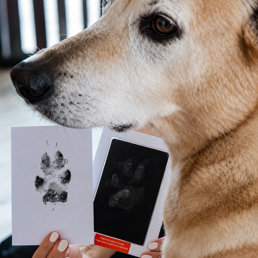 Fingerprint process image