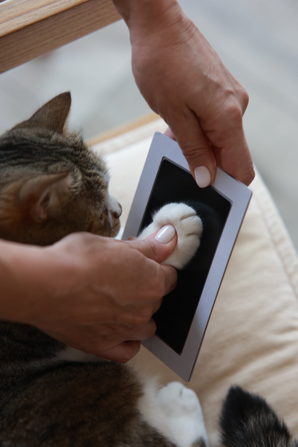 Pet Paw Print Ink Kit
